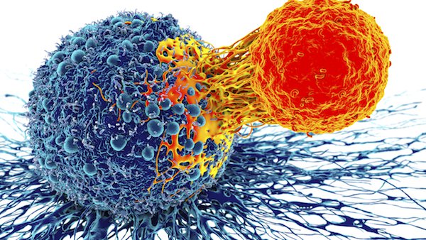 CAR-T therapy: Genetically-engineered cells that fight blood cancer