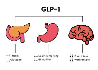 Why it’s so hard to keep excess weight off and how long-term treatment ...