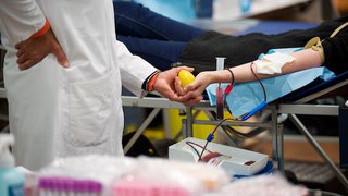 Lipid apheresis helps control chronic high cholesterol and FSGS