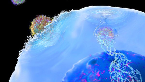 Multiple myeloma care: Taking CAR T-cell therapy for rare blood cancer to the next level