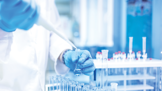 Identifying cancer biomarkers for immunotherapy