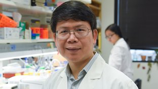 Zhijian “James” Chen, Ph.D.