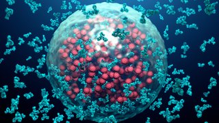 Taking aim at graft-versus-host disease after stem cell transplant
