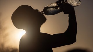 Surviving extreme summer heat: Tips from 4 experts