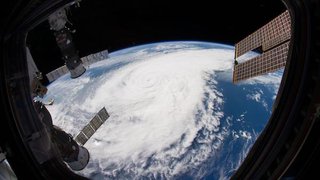 Rocket science: How the NASA Twins Study launched a novel radiation protection therapy