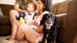Pet ownership may be a good way to boost your baby's health