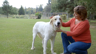Robin Kinley: Heart Surgery Patient Profile