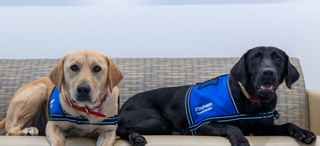 SCCC Facility Dogs, Tia and Rue