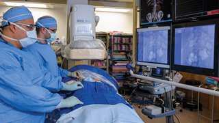 Newest Grafts for Your Patients with Abdominal Aortic Aneurysms (AAA)