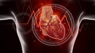 Why do African-Americans face higher risk of heart disease?