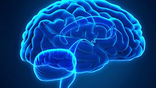 Preventing strokes by fixing the brain’s ‘plumbing’