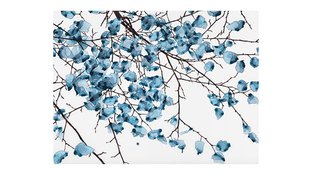 Flower painting