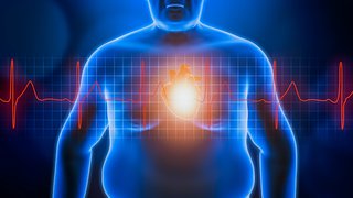 Why belly fat is dangerous and how to control it