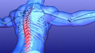 Back in action: Updated treatment recommendations for lower back pain