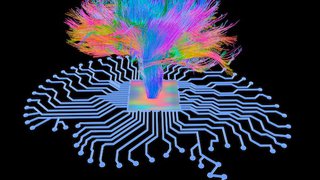 Brain mapping unlocks treatments for movement, mental health disorders