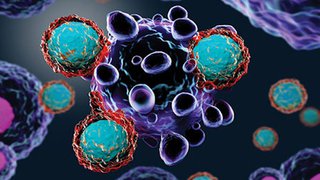 Recent advances in breast cancer treatment