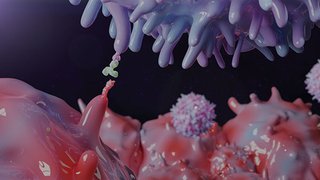 Cellular Stress Response Promotes Immune Evasion in Lung Cancer