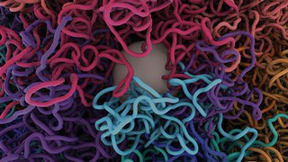 ChIA-PET Sequencing Provides Insight into Prostate Cancer Genomics