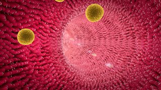 A new way of looking at ‘good’ cholesterol