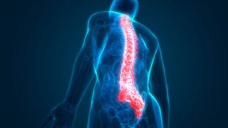 Back pain relief at home: COVID-19 accelerates advances in video spine exams