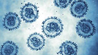 Hantavirus in the headlines: What to know about risk, symptoms, and prevention
