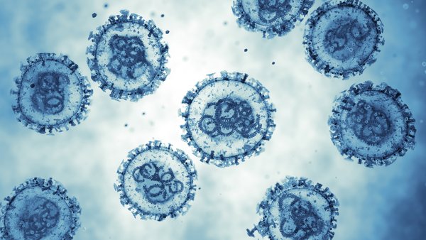 Hantavirus in the headlines: What to know about risk, symptoms, and prevention