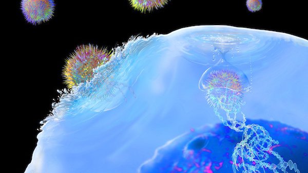 Immunotherapy and the marathon against melanoma: Terry's story