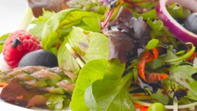 Coumadin users: Let us go easy on the lettuce