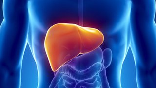 Understanding the different types of liver cancer
