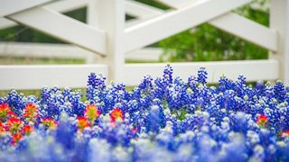 Progressing Therapeutic Options for Chronic Lymphocytic Leukemia