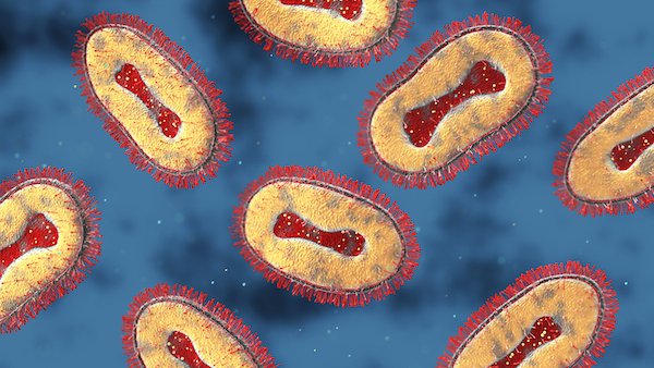 What Texans need to know about mpox