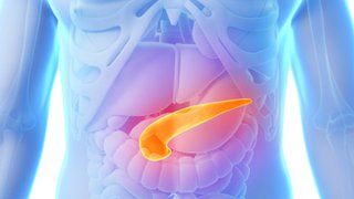 Understanding the increase in pancreatic cancer