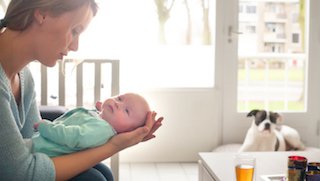 Is your pet ready for you to have a baby?