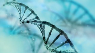 Genetic Counseling: Get the Answers You Need