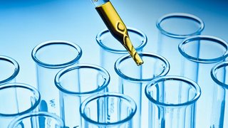 Building Tomorrow’s Cancer Cures From the Inside Out