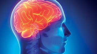 Fact: Managing AFib reduces stroke risk