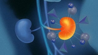 The Team That's Doubling Cancer Survival Rates