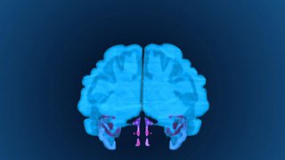 Breakthroughs in depression research lead to more effective treatments