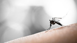 4 things pregnant women need to know about Zika virus