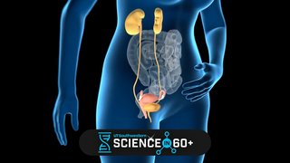 Chronic, recurrent UTI sufferers may find new hope with UTSW urologist