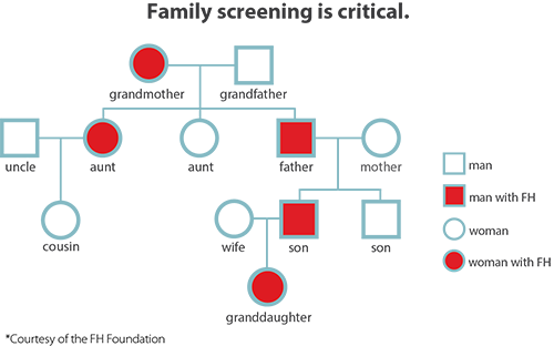 Pedigree chart illustrating family lineage and connections.