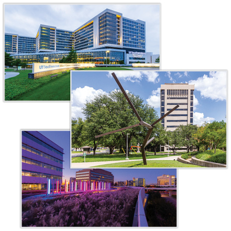 A collection of three images tiled together that show the variety of campus background imagery that can be downloaded for use.