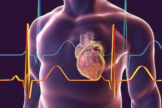 An illustration featuring a heart prominently displayed in the middle of a man's body