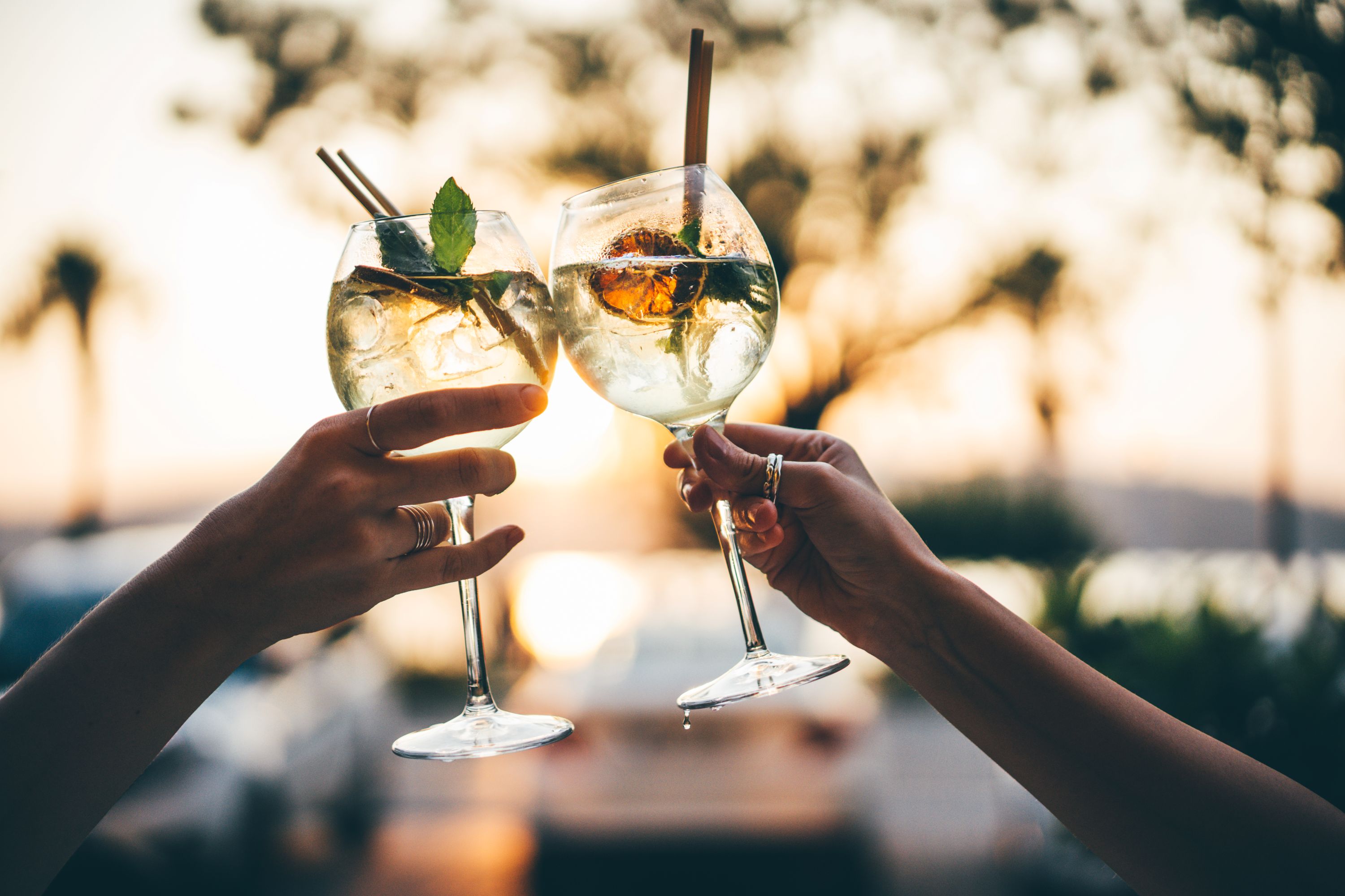 Two women toast with their wine glasses.