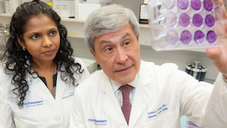Two researchers examining lab samples.