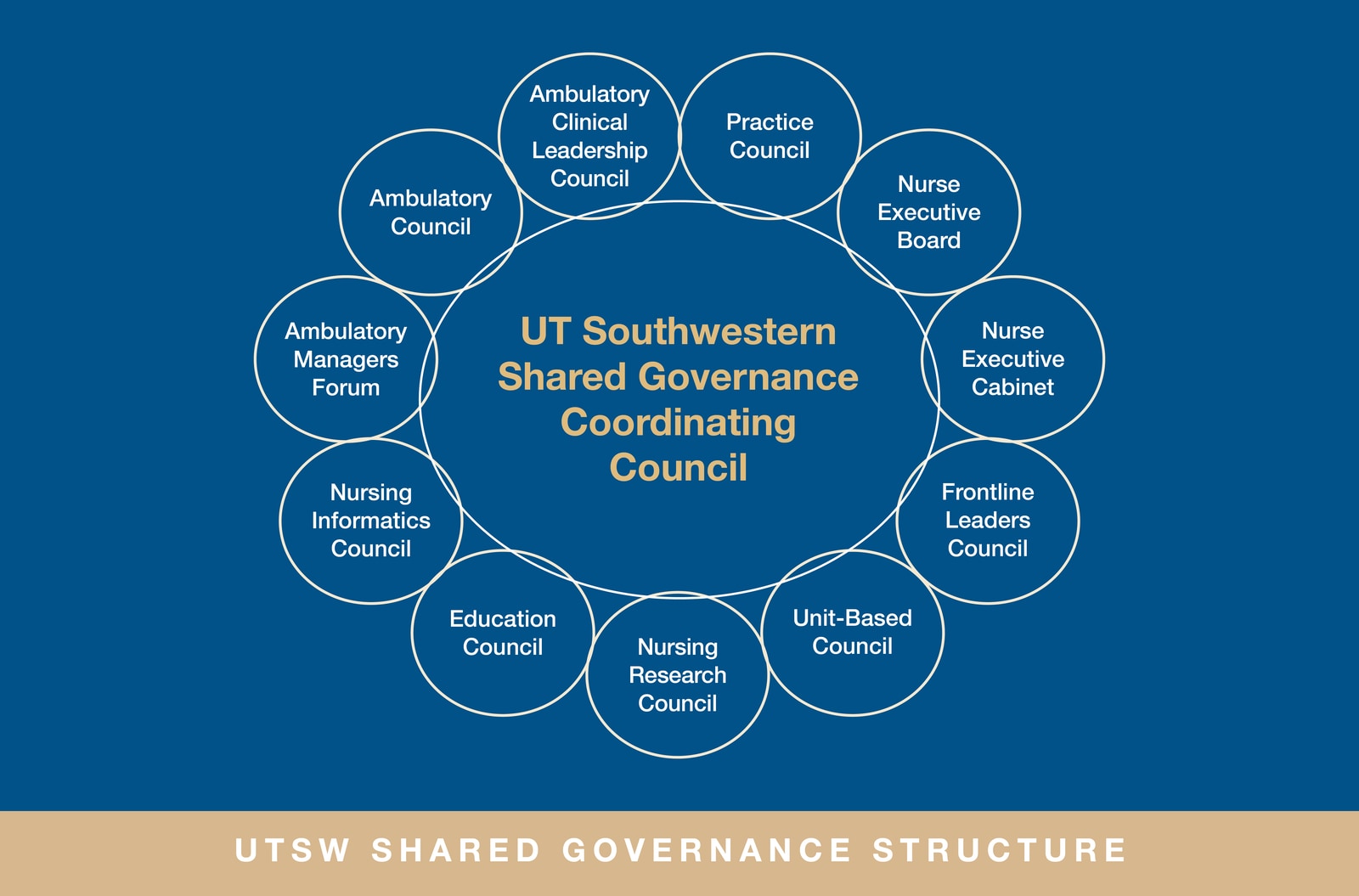 Shared governance structure