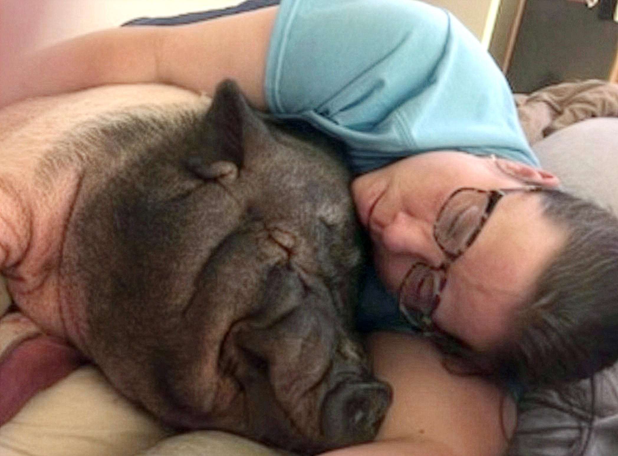 Sherri Merchant and her pet pig, Dobby