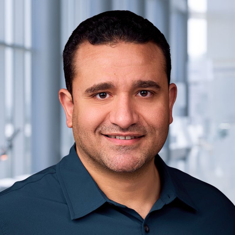 Taha Moussa, M.D.