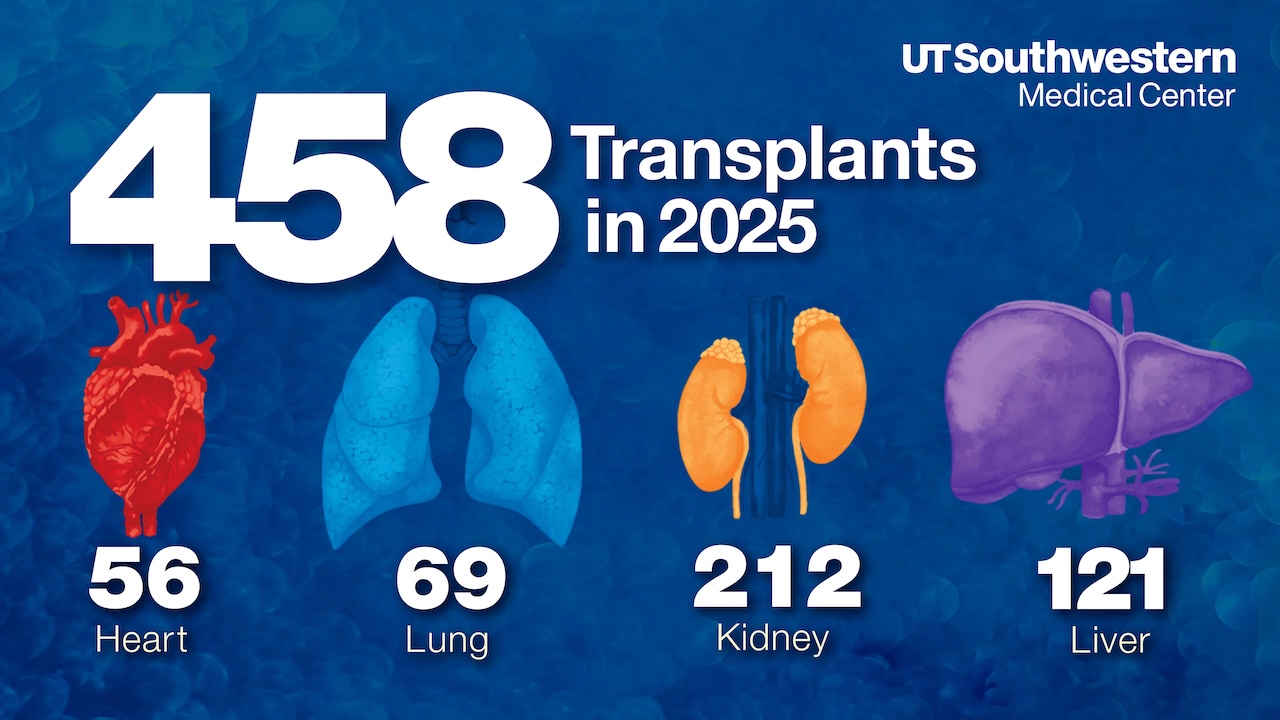 UT Southwestern Medical Center infographic showing 458 total organ transplants in 2025, including 56 heart transplants, 69 lung transplants, 212 kidney transplants, and 121 liver transplants, with illustrated icons of each organ.