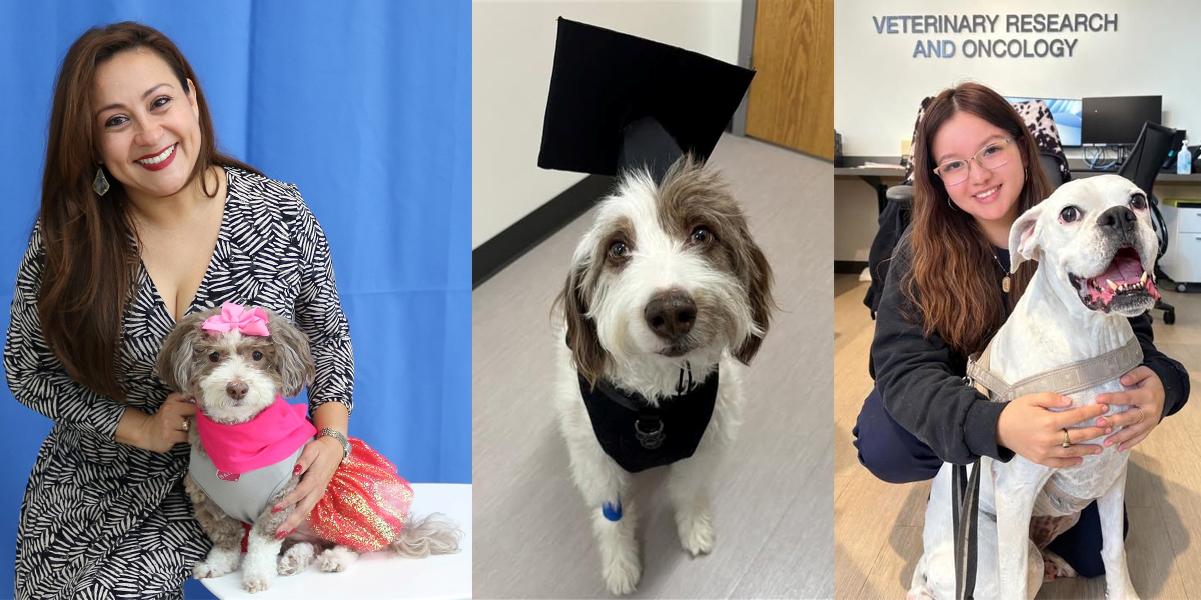 Dogs who graduated from Veterinary Research and Oncology Clinic